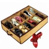 Органайзер для взуття Shoes Under (MW-18) (100)