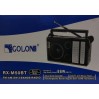 Радіоприймач Golon RX-M50 (30)